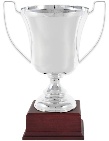 COPA 1316