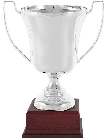 COPA 1316