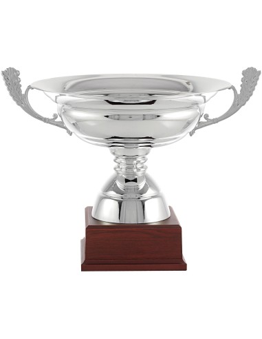 COPA 1322