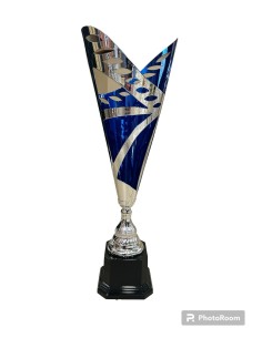 COPA 4313